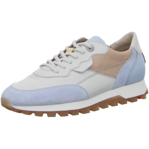 Lage Sneakers Lloyd -