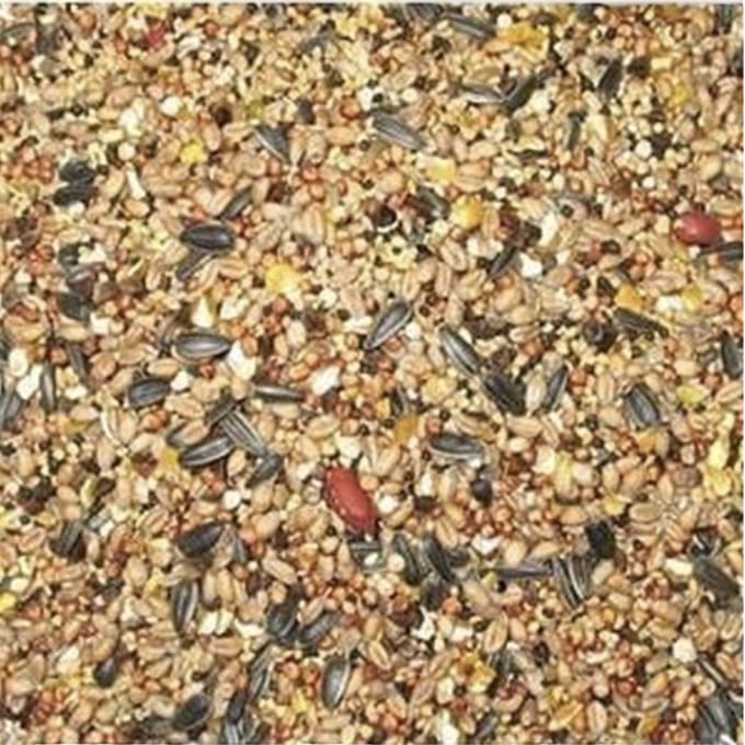Voordeelverpakking - Strooivoer - Buitenvogelvoer - 20 KG