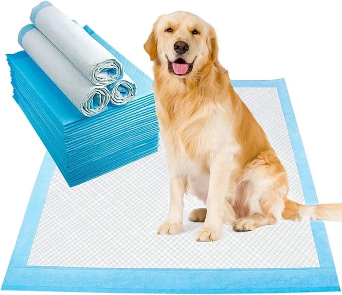 Honden Trainingsmat - Puppy Pads - Zindelijkheidstraining - 6-laags Waterblokkering - 60x45 cm - Wit