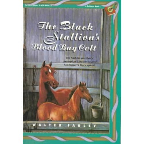 Black Stallion's Blood Bay Colt - Farley