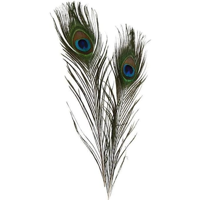 Creativ Company - Peacock feathers 10 pcs.