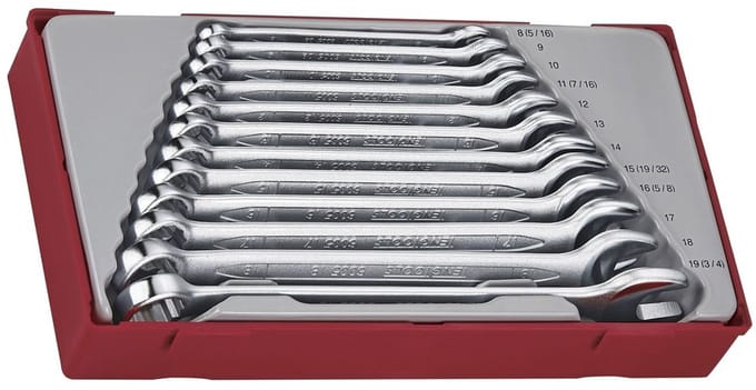 TengTools TT1236 Steekringsleutelset Tc-tray 8-19mm 12dlg