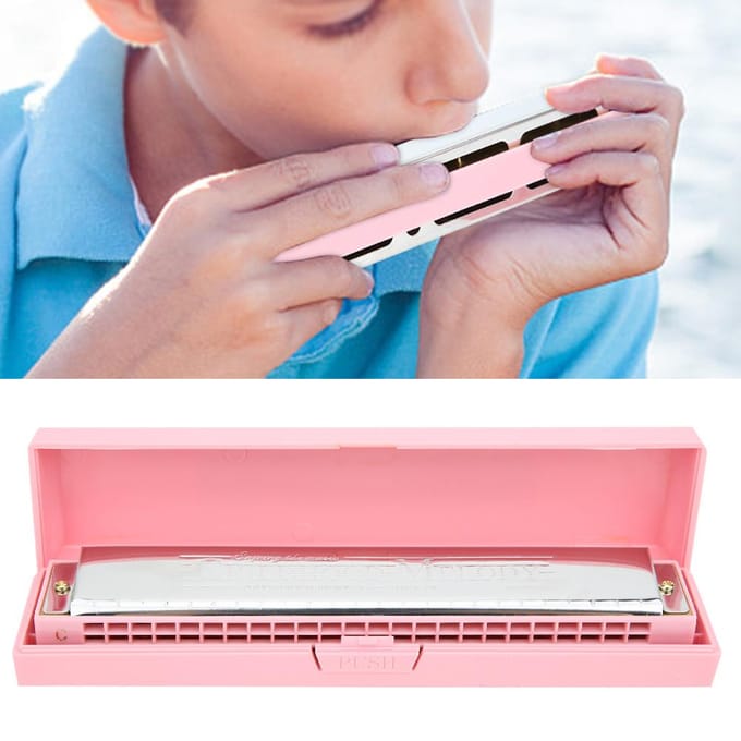 Professionele Mondharmonica Diatonische Harp C Toon Roestvrijstalen Dekplaat 24?HolePink roze