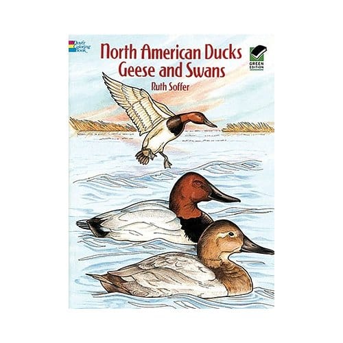 North American Ducks, Geese And Swans - Soffer, Ruth