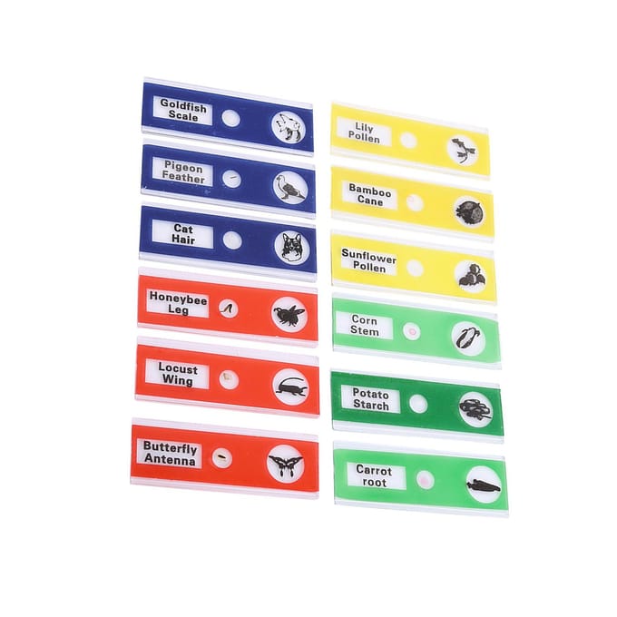 12pcs Plastic Prepared Microscope Slides Animals Insects Flowers Plants  Mix color blue
