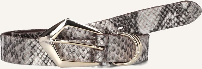 Elvy 25633 Riemen - Goud - Maat 105