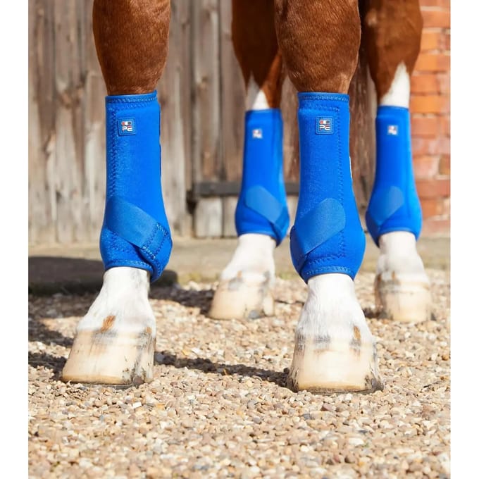 Paardenlaarzen Premier Equine Air-Tech Sports Medecine