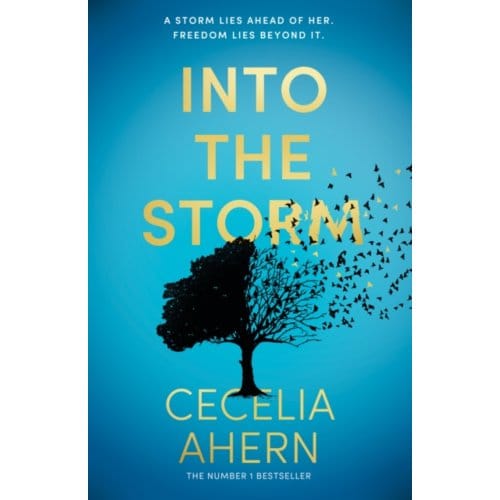 Into The Storm - Ahern, Cecelia
