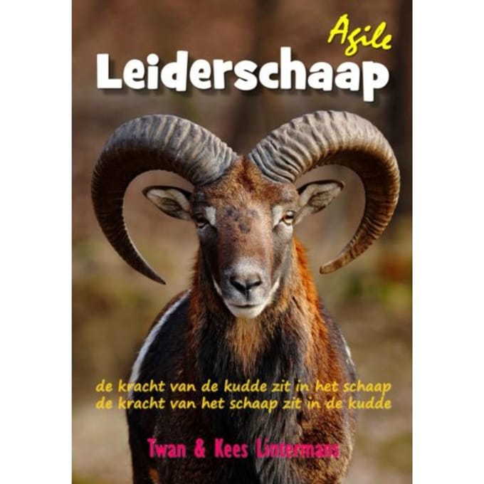 Agile Leiderschaap - Kees en Twan Lintermans