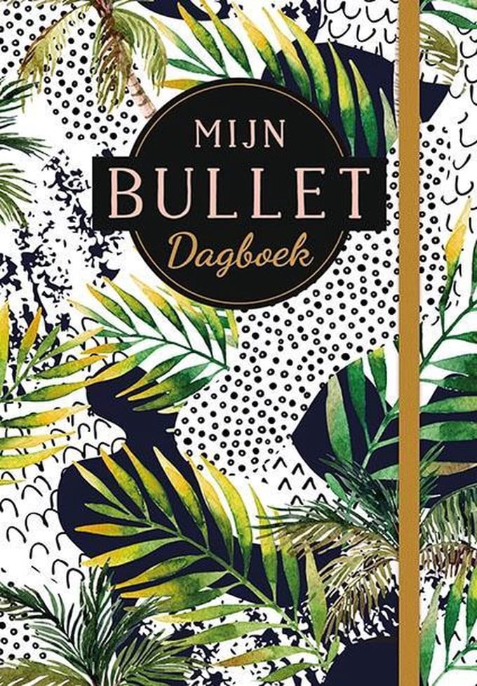 Mijn bullet dagboek