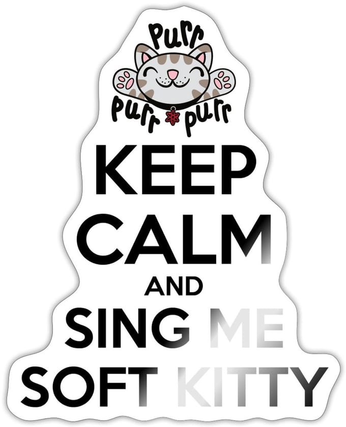 The Big Bang Theory Sing Soft Kitty Sticker Maat S (max. 10 x 10cm)