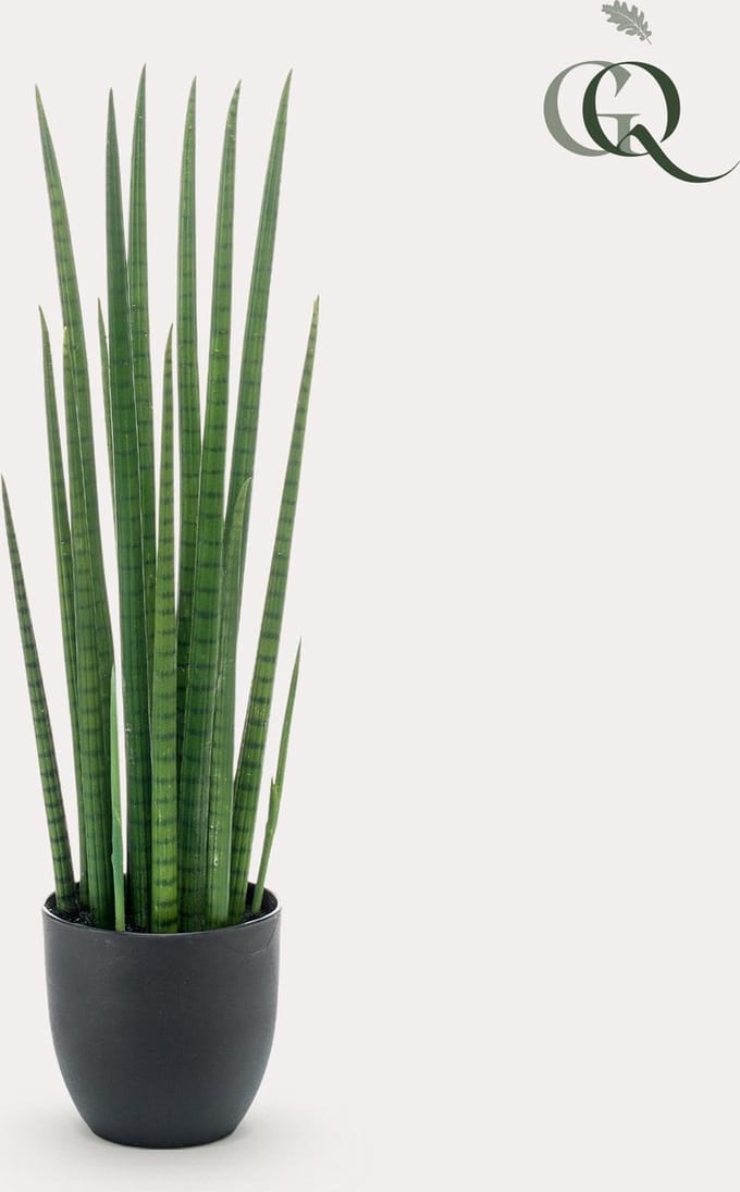 Kunstplant - Sanseveria Cylindrica - Vrouwentong - 70 cm