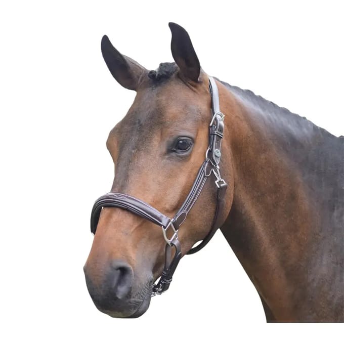 Halster voor paarden Jump'In Week