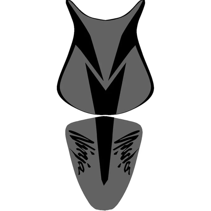 Motorzadelhoes Bagster zx 6 r
