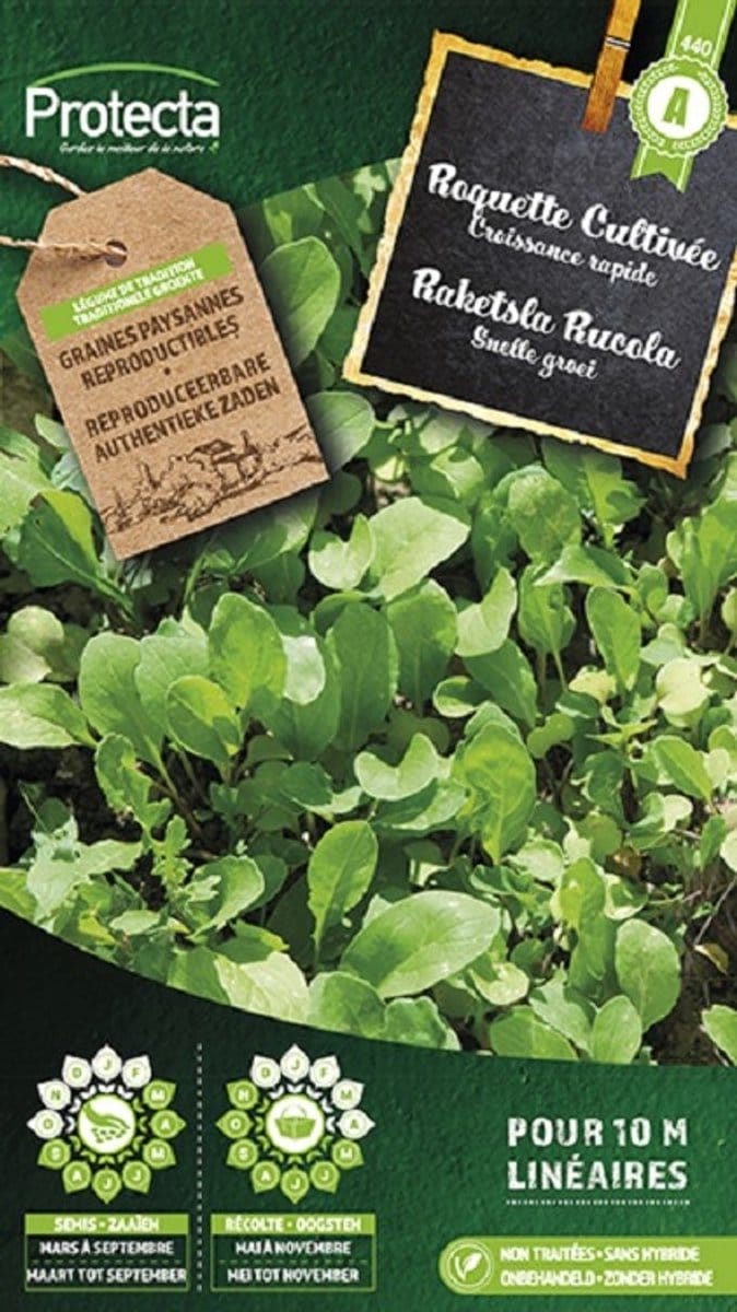 Protecta Groente zaden: Raketsla Rucola