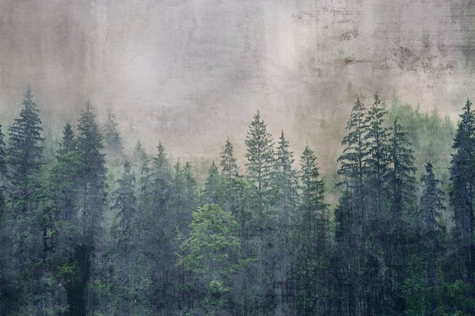 Fotobehang - Forest Abstract 375x250cm - Vliesbehang