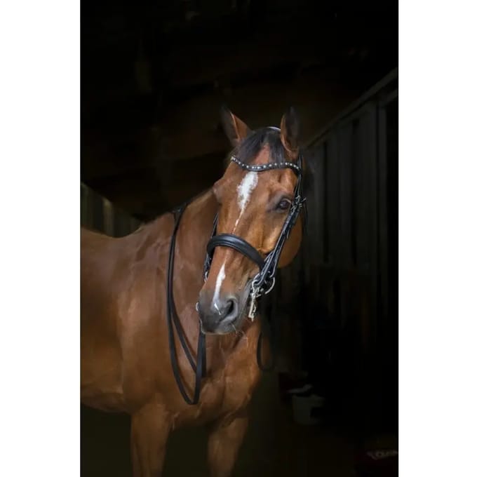 Halster voor paarden Eric Thomas Hybrid