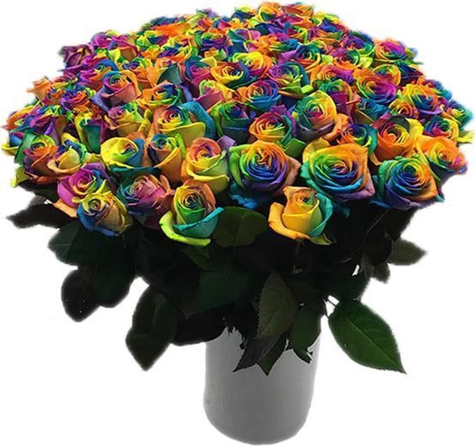 100 regenboog rozen in kunststof vaas