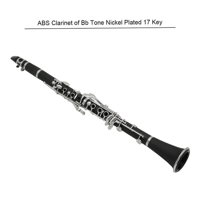 Clarinette ABS Bb Cupronickel plaqué Nickel 17 clés avec chiffon de nettoyage gants tournevis bois noir