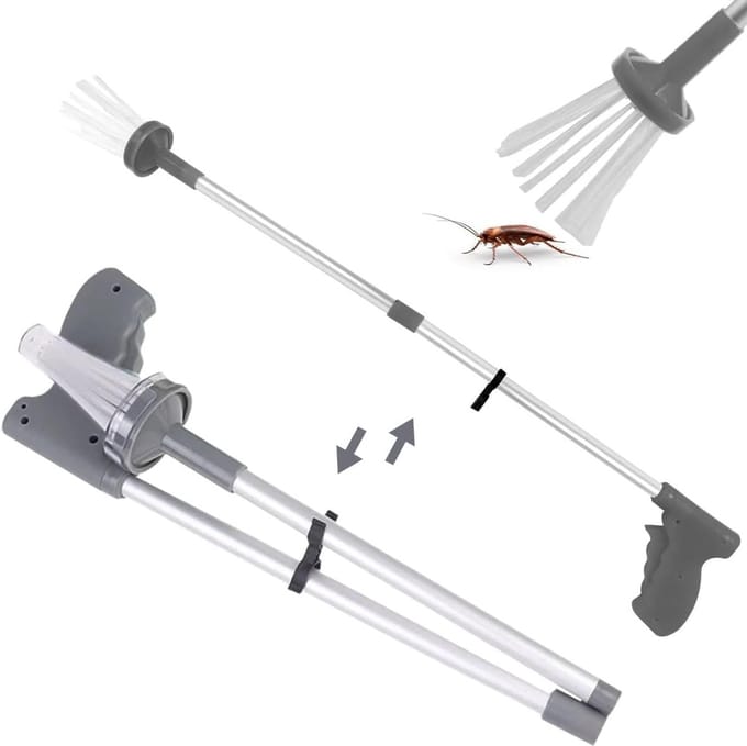 Spinnenvanger - Insectenvanger - Vliegenvanger