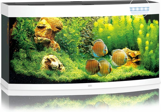 Juwel Aquarium Vision 260 - Led - 121x46x64 cm - Wit - 260 L