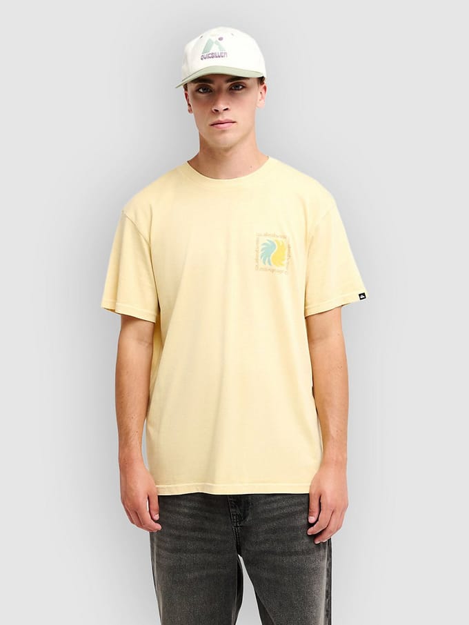 Quiksilver Evo Vibes T-Shirt groen