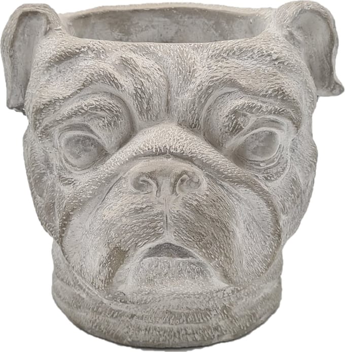 Deco4yourhome® - Pot - Bulldog - Beton - Grijs - 19cm