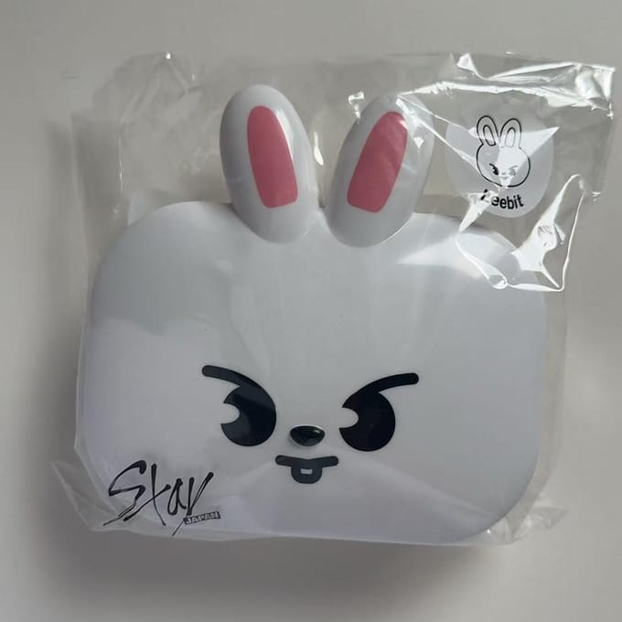 Stray kids World Tour Japan, SKZOO BOX Leeknow gray