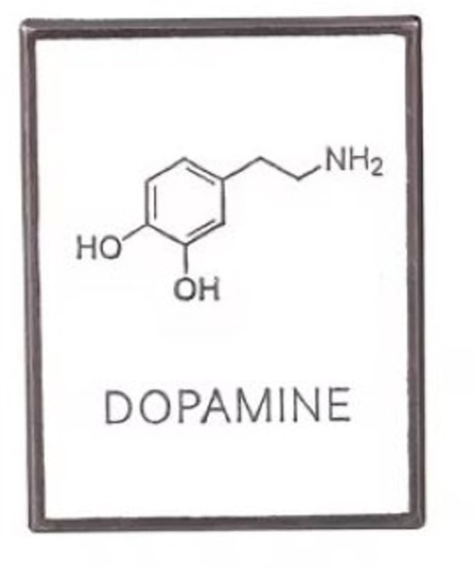 Pin Broche - enamel pin - kledingspeld - Dopamine