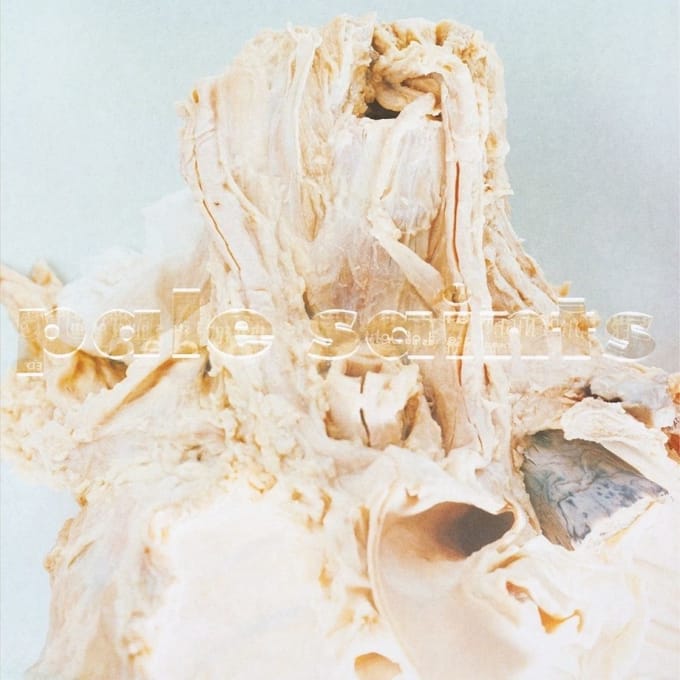 In Ribbons -2023 Reissue- - Pale Saints