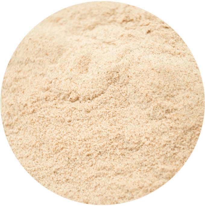 Dadel Poeder - 100 gram - Holyflavours