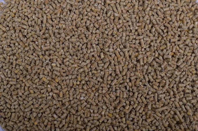 Wielink Kuikenkorrel 2MM 20KG