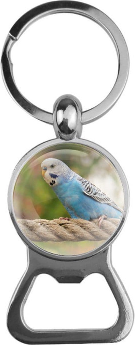 Bieropener Glas - Vogel