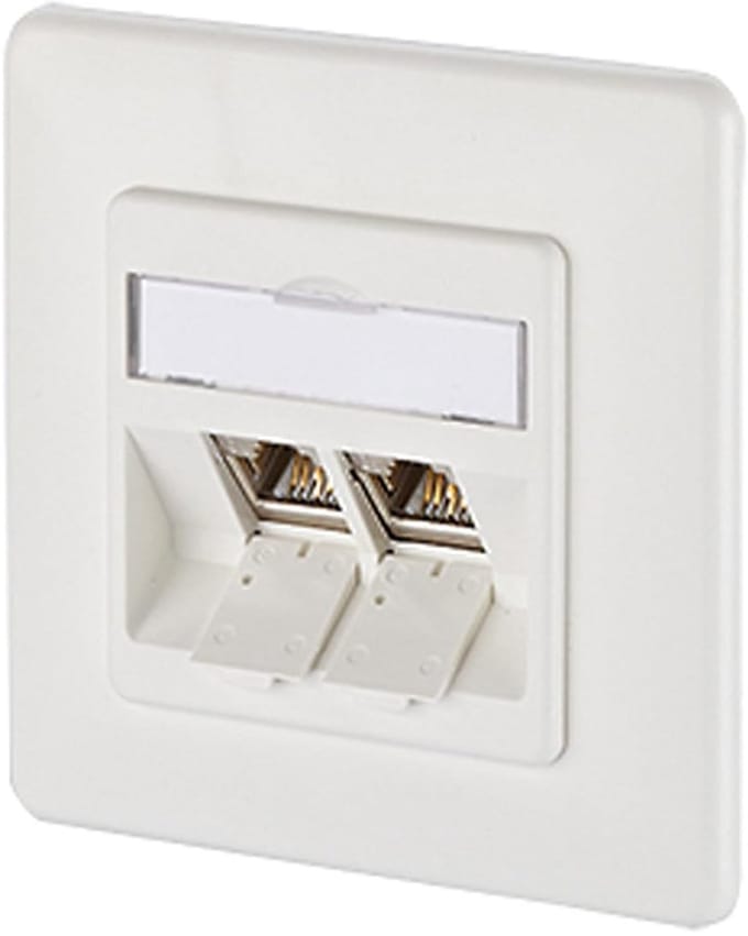 E-DAT Module - Netwerk Module - Data Infrastructuur Bouwen - Twee Poorten - 12 x 8 x 2 cm - Wit