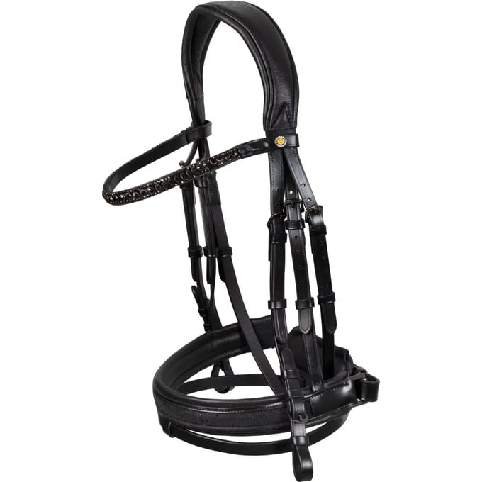 Hoofdstel Equestro