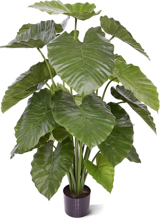 Alocasia Calidora kunstplant 115cm