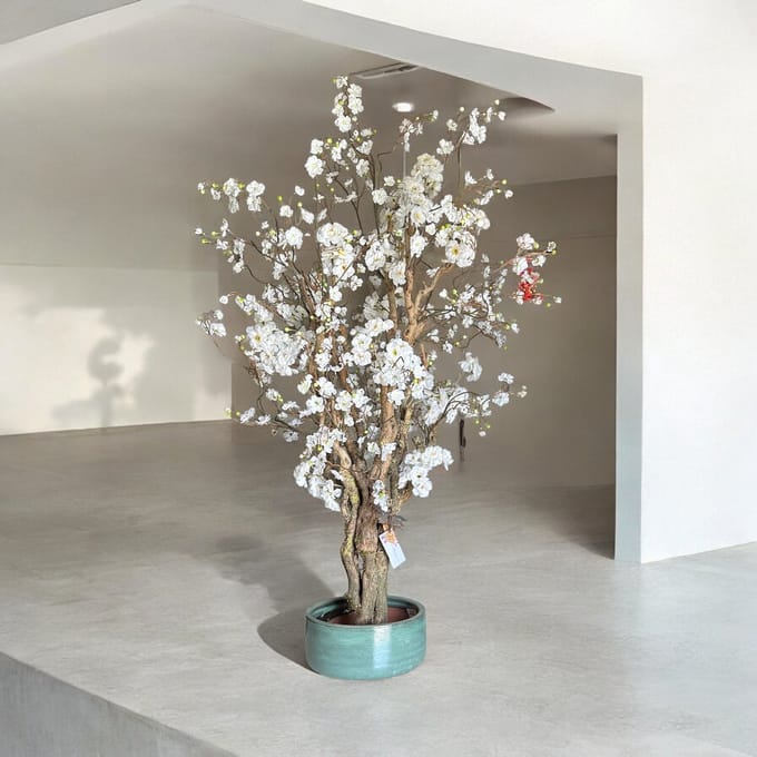 Kunstbloesemboom Crème Wit - Echt Hout - 150 cm - Sakura - Seta Fiori