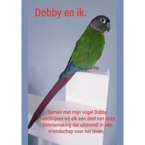 Dobby En Ik. - Tineke Koenes