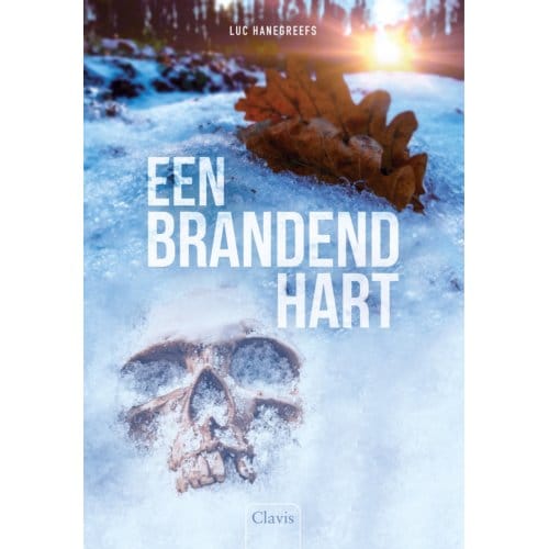 Een Brandend Hart - Luc Hanegreefs