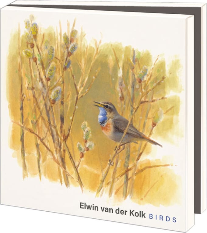 Kaartenmapje met env, vierkant: Birds, Elwin van der Kolk