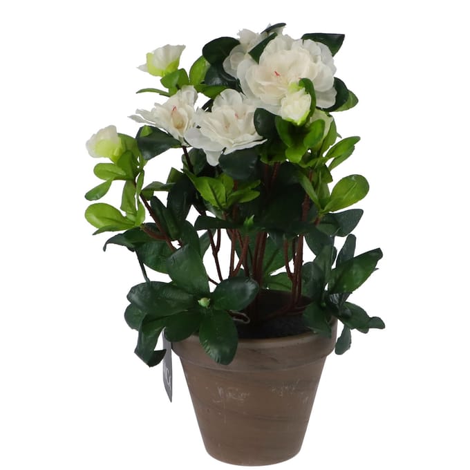Mica Decorations Kunstplant - Azalea - groen/wit - 27 cm - Met mooie bloemen