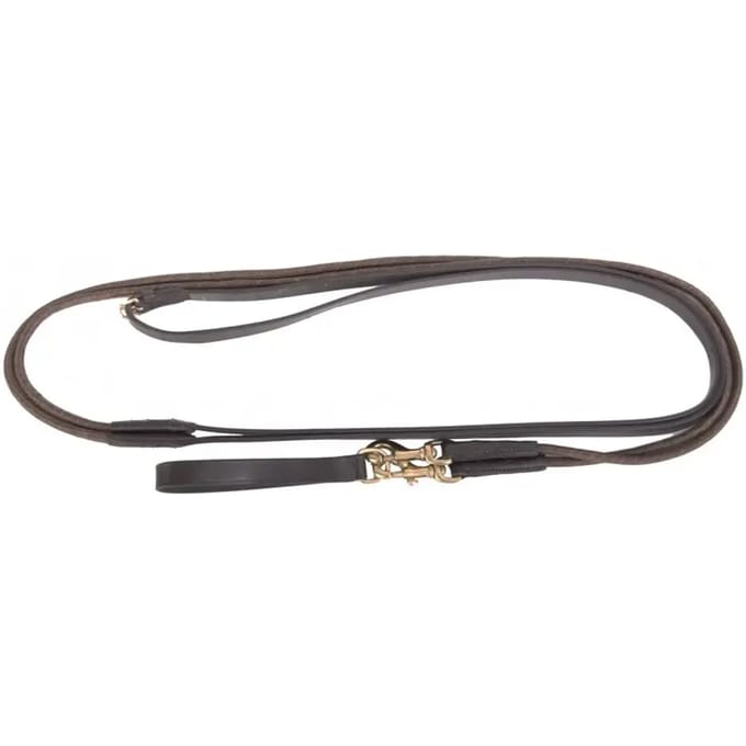 T.de.t German Teugels Goud Pony