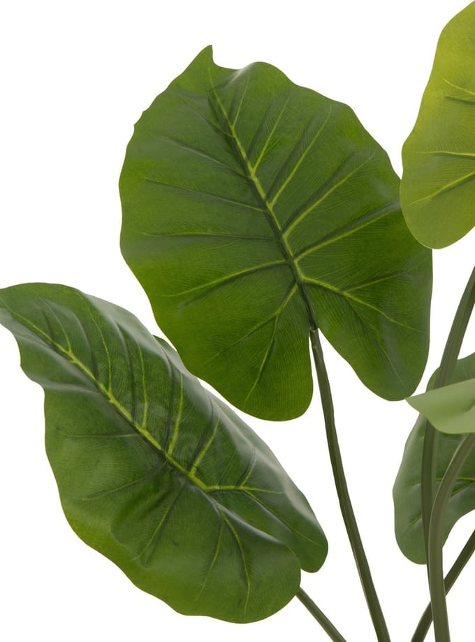 J-Line plant Taro Wild In Pot - kunststof - groen - small