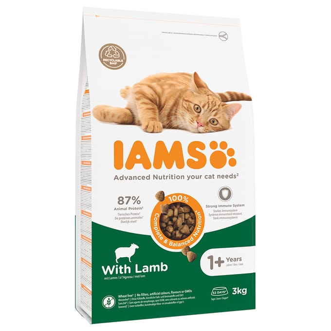 IAMS kattenvoer voor volwassen katten met lam 3 kg