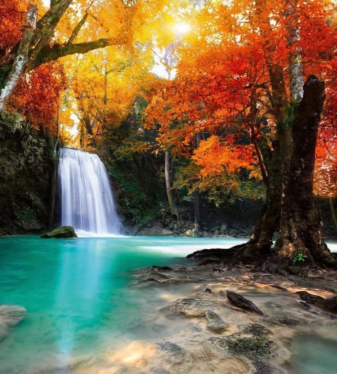 Fotobehang - Deep Forest Waterfall 225x250cm - Vliesbehang