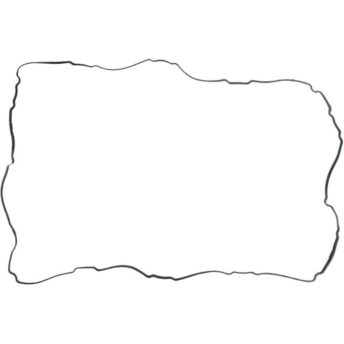 Victor Reinz Pakking, Carter REINZ 71-11331-00
