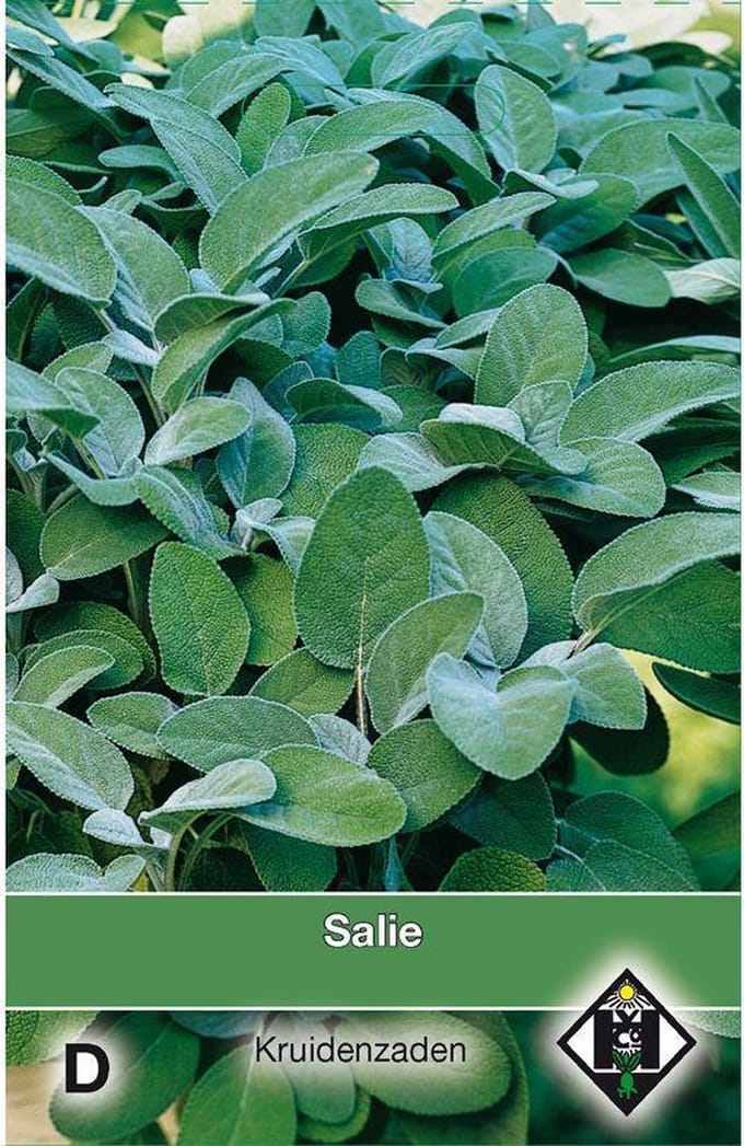 Van Hemert - Salie (Salvia officinalis)