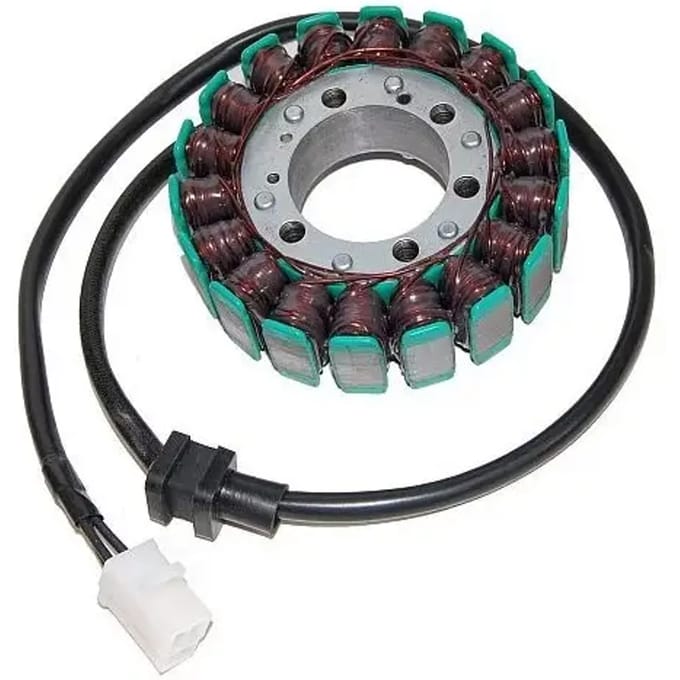 Originele aanpasbare motor dynamo Electrosport Kawasaki