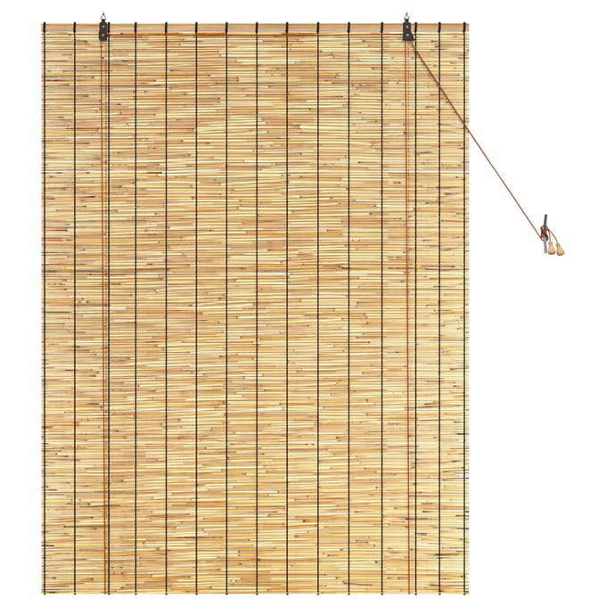 vidaXL - Rolgordijn - Naturel - 120 - x - 160 - cm - Riet
