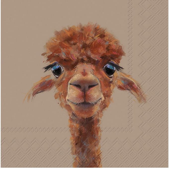 Servet "Alpaca Fernando"